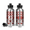 Ladybugs & Chevron Aluminum Water Bottle - Front and Back