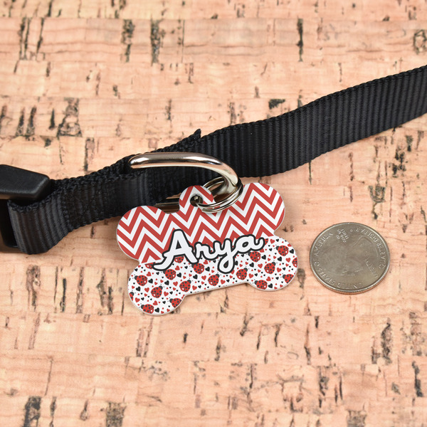 Ladybugs & Chevron Bone Shaped Dog ID Tag - Large - In Context