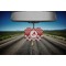 Ladybugs & Chevron Car Ornament (Road)