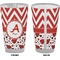 Ladybugs & Chevron Pint Glass - Full Color - Front & Back Views