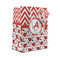 Ladybugs & Chevron Gift Bag (Personalized)