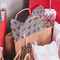 Ladybugs & Chevron Tissue Paper - In Gift Bag