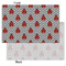 Ladybugs & Chevron Tissue Paper - Lightweight - Small - Front & Back