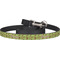 Green & Brown Toile Dog Leash (Personalized)