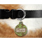 Green & Brown Toile Round Pet Tag on Collar & Dog