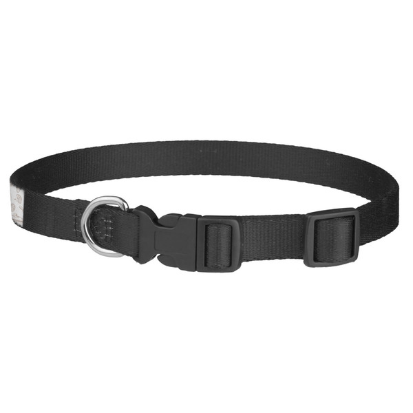 Master Chef Dog Collar - Medium - Back