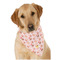 Sweet Cupcakes Dog Bandana Scarf w/ Name or Text