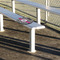 Zebra Print Stadium Cushion (In Stadium)