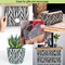 Zebra Print Tissue Paper - In Use Collage