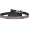 Zebra Dog Leash (Personalized)