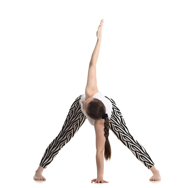 Zebra Ladies Leggings - LIFESTYLE
