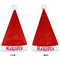 Zebra Santa Hats - Front and Back (Double Sided Print) APPROVAL