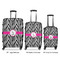 Zebra Suitcase Set 1 - APPROVAL