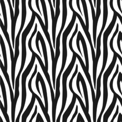 Zebra Wallpaper & Surface Covering