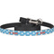 Helicopter Dog Leash (Personalized)