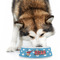 Helicopter Plastic Pet Bowls - Large - LIFESTYLE