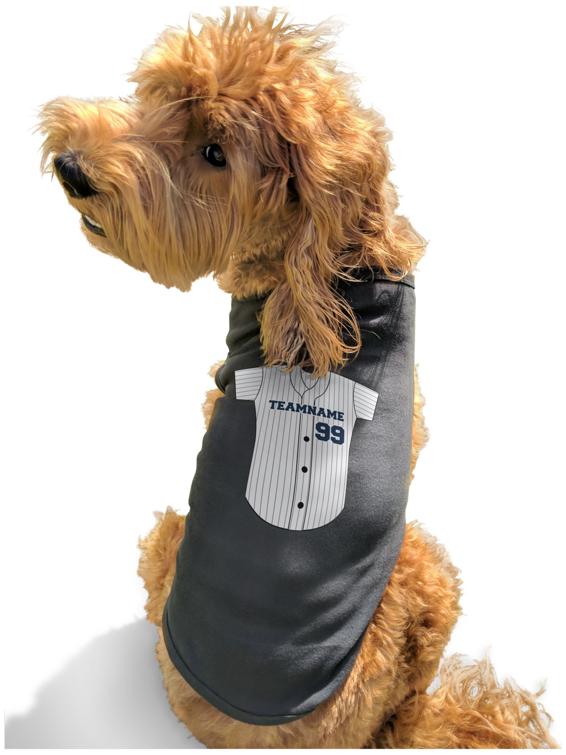 baseball jersey for dogs