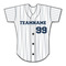 Baseball Jersey Graphic Decal - Small (Personalized)