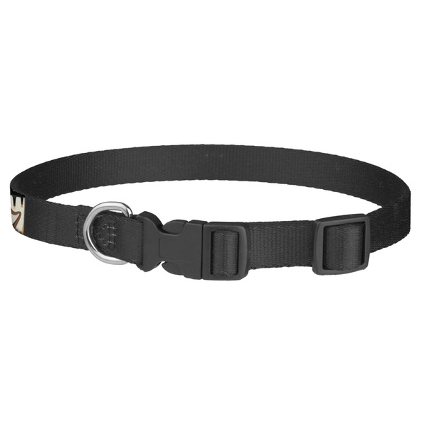 Musical Instruments Dog Collar - Medium - Back