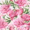 Watercolor Peonies Wallpaper & Surface Covering (Water Activated 24"x 24" Sample)