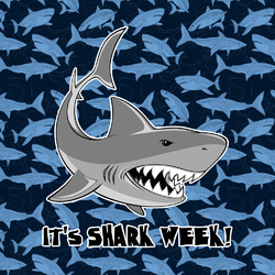 Sharks