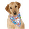 What is your Superpower Bandana - On Dog