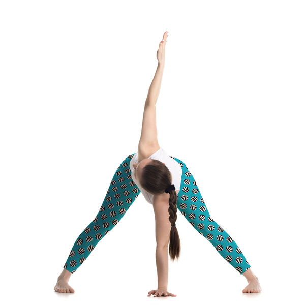 Dots & Zebra Ladies Leggings - LIFESTYLE