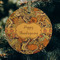 Thanksgiving Frosted Glass Ornament - Round (Lifestyle)