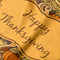 Thanksgiving Hooded Baby Towel- Detail Close Up