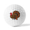 Traditional Thanksgiving Golf Balls - Generic - Set of 12 - FRONT
