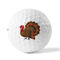 Traditional Thanksgiving Golf Balls - Titleist - Set of 12 - FRONT