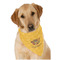 Happy Thanksgiving Dog Bandana Scarf w/ Name or Text