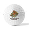 Happy Thanksgiving Golf Balls - Titleist - Set of 3 - FRONT