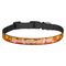 Fall Leaves Dog Collar