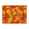 Fall Leaves Tissue Paper - Heavyweight - Large - Front