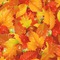 Fall Leaves Wallpaper Square