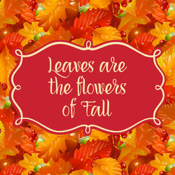 Fall Leaves