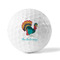 Old Fashioned Thanksgiving Golf Balls - Generic - Set of 12 - FRONT