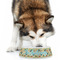 Old Fashioned Thanksgiving Plastic Pet Bowls - Large - LIFESTYLE