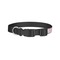 Paris Bonjour and Eiffel Tower Dog Collar - Small - Back