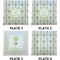 Dreamcatcher Set of Square Dinner Plates (Approval)