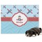 Airplane Theme Dog Blanket - Large (Personalized)
