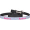 Airplane Theme - for Girls Dog Leash (Personalized)