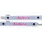 Airplane Theme - for Girls Pacifier Clip - Front and Back
