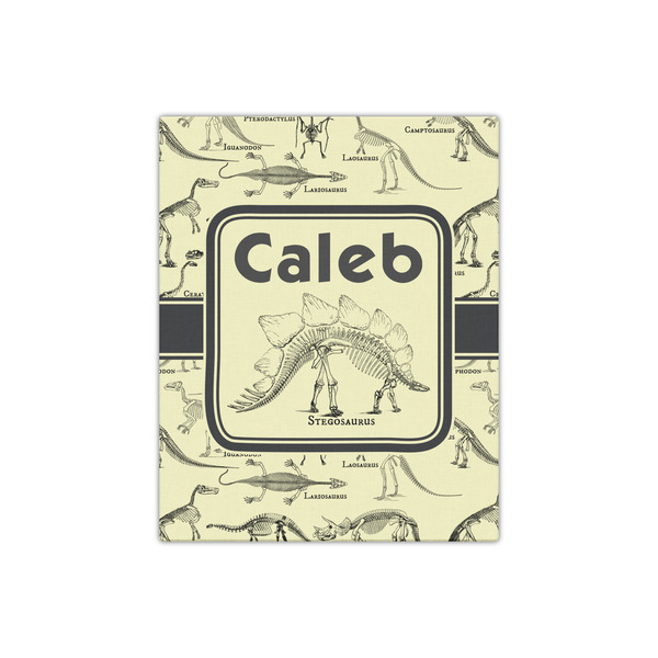 Dinosaur Skeletons 16x20 - Canvas Print - Front View