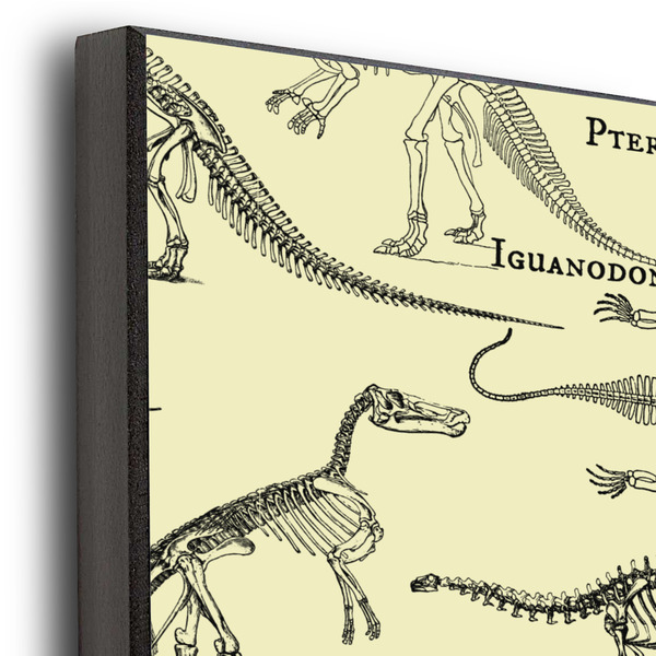 Dinosaur Skeletons 16x20 Wood Print - Closeup