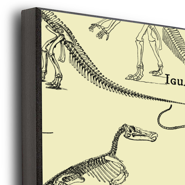 Dinosaur Skeletons 20x24 Wood Print - Closeup