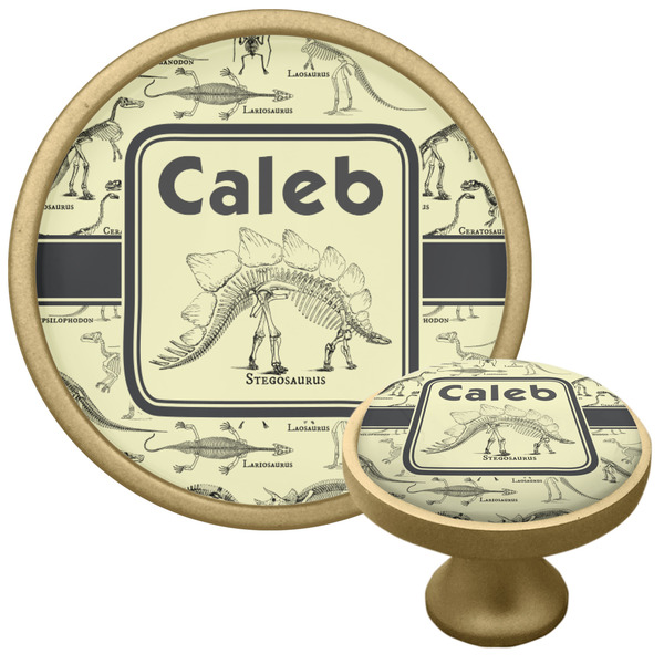 Dinosaur Skeletons Cabinet Knob - Gold - Multi Angle