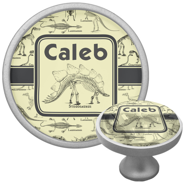 Custom Dinosaur Skeletons Cabinet Knob (Silver) (Personalized)