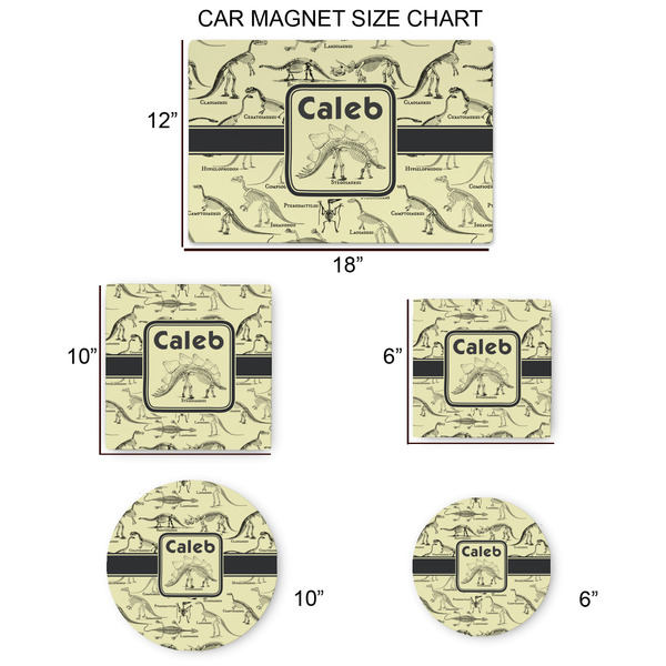Dinosaur Skeletons Car Magnets - SIZE CHART